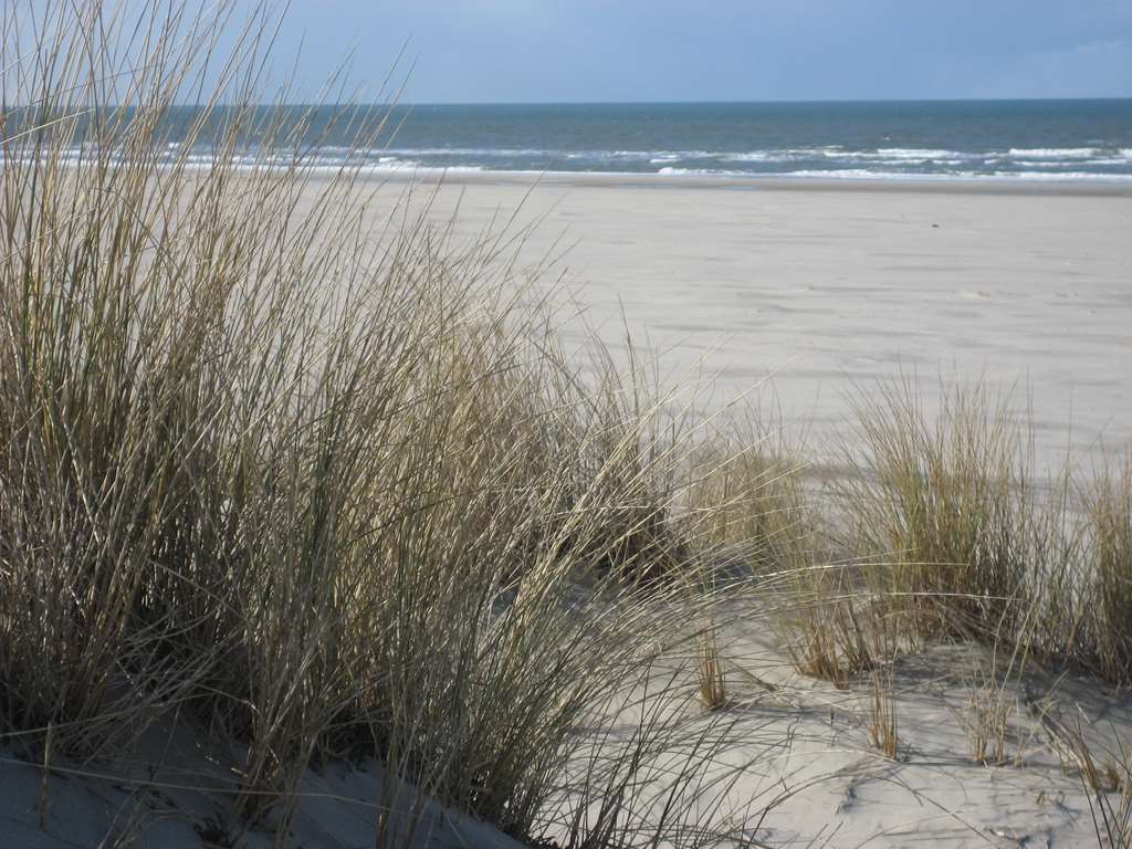 Ringhotel Residenz Wittmund Esterno foto
